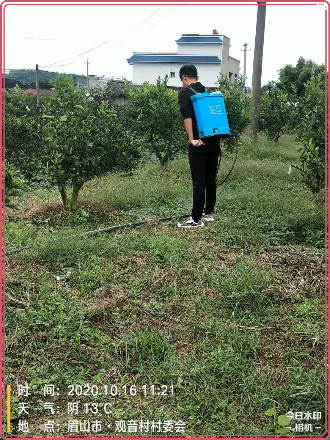 圖片2.jpg