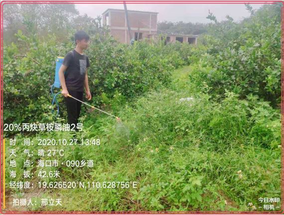 必須的.JPG